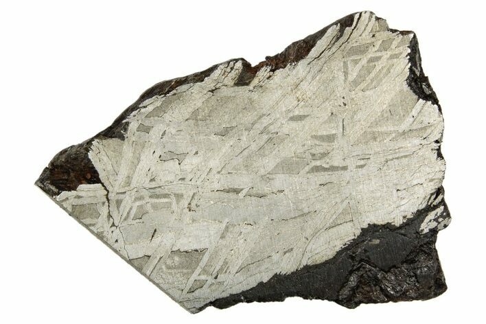 Etched Muonionalusta Meteorite Slice ( g) - Sweden #320321